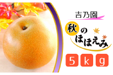 【吉乃園】松戸の完熟梨「秋のほほえみ」5kg