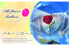 EW008 プリザーブドフラワー in バルーン RED ROSE