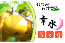 【むつみ石井梨園】松戸の新鮮もぎたて梨「幸水」3kg