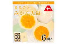 まるごとみかん大福 6個入り