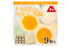 まるごとみかん大福 9個入り
