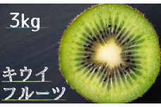 【真嶋園】松戸産 キウイフルーツ 品種おまかせ 3kg