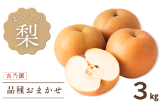 【吉乃園】松戸の完熟梨 品種おまかせ 3kg