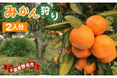No.025 千葉県野田市産みかんの収穫体験（2人分）