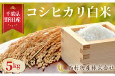 No.139 野田産コシヒカリ白米5kg ／ おこめ こしひかり 旨み 千葉県