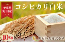 No.148 野田産コシヒカリ白米10kg ／ おこめ こしひかり 旨み 千葉県
