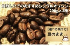 No.170-01 焙煎したてのおすすめシングルオリジン 200g×2種（豆）