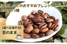 No.171-01 焙煎したてのおすすめブレンド 200g×2種（豆）