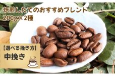 No.171-03 焙煎したてのおすすめブレンド 200g×2種（中挽き）