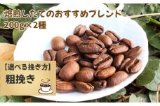 No.171-02 焙煎したてのおすすめブレンド 200g×2種（粗挽き）