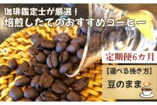 No.178-01 【毎月定期便6回】珈琲鑑定士が厳選！焙煎したてのおすすめコーヒー（豆）