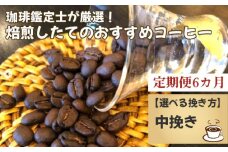 No.178-03 【毎月定期便6回】珈琲鑑定士が厳選！焙煎したてのおすすめコーヒー（中挽き）