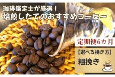 No.178-02 【毎月定期便6回】珈琲鑑定士が厳選！焙煎したてのおすすめコーヒー（粗挽き）