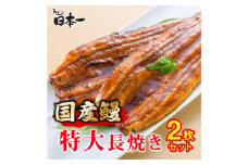 No.194 【日本一】国産うなぎ　特大長焼き2枚セット ／ 鰻 ウナギ かばやき 千葉県