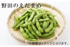 No.237 野田のえだまめ ／ 枝豆 エダマメ 野菜 千葉県
