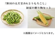 No.243 「野田のえだまめ&とうもろこし」初夏の贈り物セット ／ トウモロコシ 野菜 枝豆 千葉県