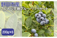 No.278 野田市産こだわり完熟ブルーベリーセット　200g×6 ／ アンチエイジング 眼精疲労回復 フルーツ 千葉県