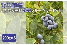 No.279 野田市産こだわり完熟冷凍ブルーベリーセット　200g×6 ／ アンチエイジング 眼精疲労回復 フルーツ 千葉県