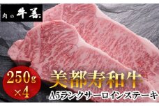 No.289 牛善特選 美都寿和牛 サーロインステーキ A5ランク 250g×4枚 ／ 牛肉 ブランド牛 自社ブランド 千葉県 特産