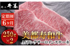 No.293 【毎月定期便6回】美都寿和牛 サーロインステーキ 2枚 ／ 牛肉 ブランド牛 自社ブランド 千葉県 特産