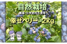 No.322 冷凍ブルーベリー 2kg 農薬・化学肥料不使用 ／ 果物 フルーツ 自然栽培 ミネラル 甘味 酸味 バランス 菌力アップ栽培 千葉県