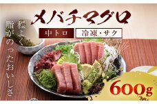 メバチマグロ 中トロ 600g(冷凍・サク) ふるさと納税 マグロ トロ 中トロ 魚 刺身 冷凍 天然 千葉県 茂原市 MBT001