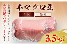 本マグロ 瓦1枚　3.5kg以上 ふるさと納税 マグロ 本マグロ 魚 刺身 冷凍 千葉県 茂原市 MBT005