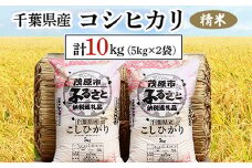 令和6年産 千葉県産コシヒカリ 精米 10kg(5kg×2袋)  ふるさと納税 コシヒカリ 米 精米 こめ 千葉県 茂原市 MBAD001