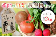 季節の野菜・農産物セット　お米付き(精米・2kg)　ふるさと納税 野菜 野菜詰合せ 季節 お米 米 千葉県 茂原市 MBAE001