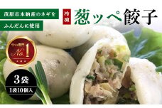 茂原市本納産のネギをふんだんに使用した35g『葱ッペ餃子』　10個入り×3袋  / ふるさと納税 ネギ 餃子 ぎょうざ ギフト 贈答 茂原市 MBE001