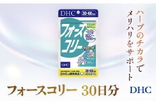 76022_DHCフォースコリー 30日分 ／ 健康 サプリ サプリメント ダイエット 除脂肪体重 メリハリ スタイルキープ ハーブ 植物由来 コレウス・フォルスコリーエキス ビタミンB1 B2 B6 DHC ディーエイチシー 千葉県 茂原市 MBB030