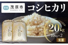 令和6年産 千葉県茂原市産 コシヒカリ  玄米20kg(10kg×2) MBAM009
