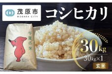 令和6年 千葉県茂原市産 コシヒカリ  玄米30kg MBAM013