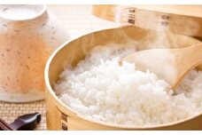 [№5904-0108]【令和5年度産】「コシヒカリ」うなりくん