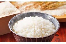 [№5904-0109]【令和6年度産】伊能歌舞伎米　こしひかり お米 コシヒカリ 5kg 