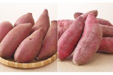 [№5904-0146]栽培期間中農薬不使用のさつまいも（紅はるか・シルクスィート）食べ比べセット