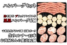 [№5904-0209]お肉屋さんの手作りハンバーグセット（ハンバーグ6個、焼売12個、ウィンナー15本）