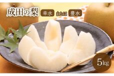 [№5904-0235]【日時指定不可】梨（幸水または豊水）5kg ナシ 果物 フルーツ 先行予約