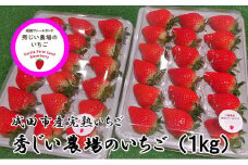 [№5904-0295]秀じいのいちご（とちおとめ）2箱（1kg）