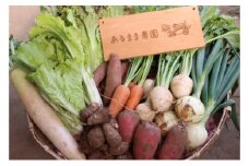 [№5904-0357]【農家直送】農薬不使用季節の野菜セット（10品）