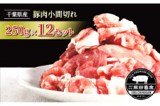 [№5904-0400]農場直送！！千葉県産 豚肉 小間切れ 小分け 3kg(250g×12) 飯田プレミアムポーク　