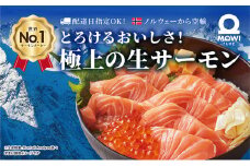 [№5904-0483]サーモン　モウイピュア・サーモン 刺身 刺身サーモン ノルウェーサーモン 冷蔵 新鮮 冷凍なし 生サーモン 鮭 海鮮
