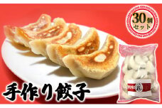 [№5904-0485]成田の手作り餃子30個セット