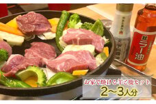 [№5904-0491]お家で焼ける羊と鹿セット2～3人分♪（ラム肉200g、鹿肉200g、自家栽培の野菜100g、自家製のタレ)