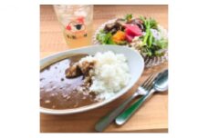 [№5904-0495]ジビエカレー2人分