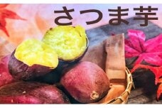 [№5904-0507]さつまいも（シルクスイート）