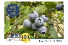 [№5904-0532]フレッシュブルーベリー（トワイライト大粒　100g×4） 果物 フルーツ 国産フルーツ 朝摘みブルーベリー 上品な香り 国産ブルーベリー