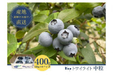[№5904-0533]フレッシュブルーベリー　(トワイライト中粒100g×4） 果物 フルーツ 国産フルーツ 朝摘みブルーベリー 上品な香り 国産ブルーベリー