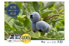 [№5904-0534]【先行予約】フレッシュブルーベリー　(ユーリカ大粒100g×4）