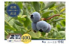 [№5904-0535]【先行予約】フレッシュブルーベリー　(ユーリカ中粒100g×4）